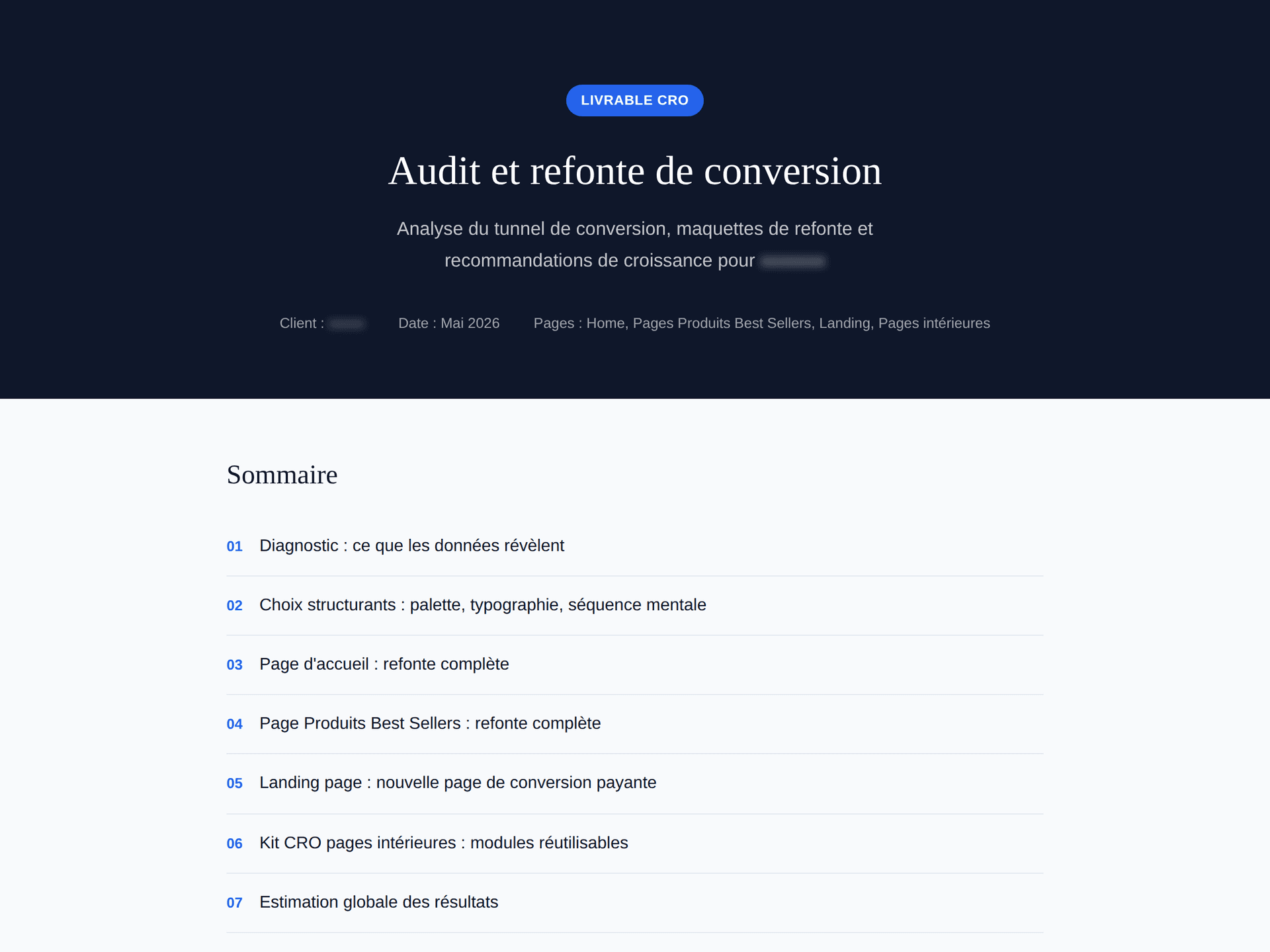 Exemple de livrable audit CRO
